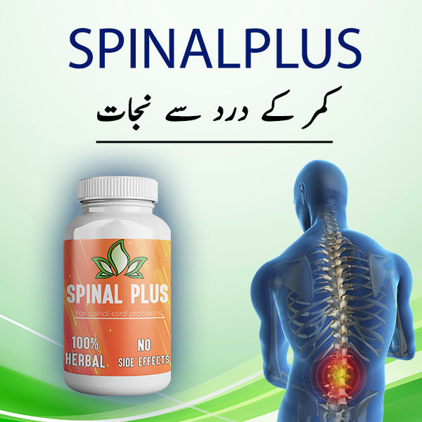 Spinal Plus